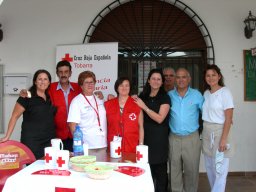 1FBanderita 2011013